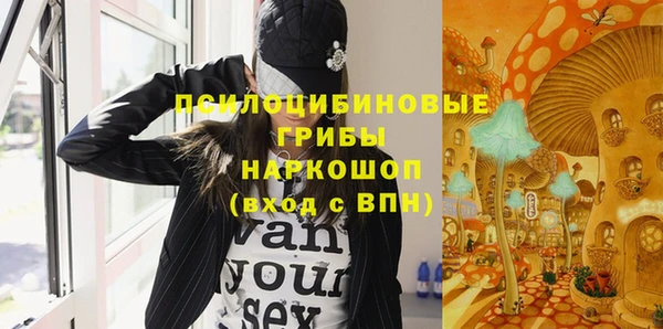 PSILOCYBIN Лихославль