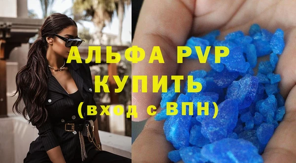 стаф Аркадак