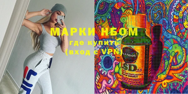 стаф Аркадак