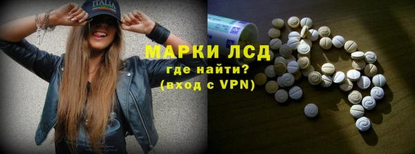 стаф Аркадак